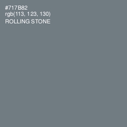 #717B82 - Rolling Stone Color Image