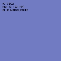 #717BC2 - Blue Marguerite Color Image