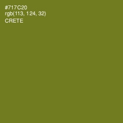 #717C20 - Crete Color Image