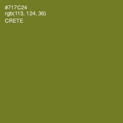 #717C24 - Crete Color Image