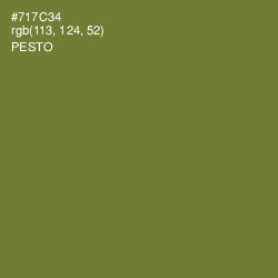 #717C34 - Pesto Color Image