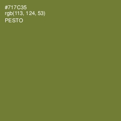 #717C35 - Pesto Color Image