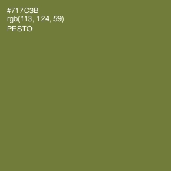 #717C3B - Pesto Color Image