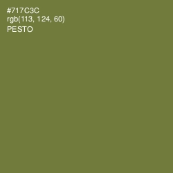 #717C3C - Pesto Color Image