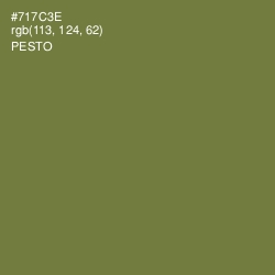 #717C3E - Pesto Color Image