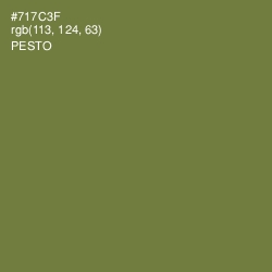 #717C3F - Pesto Color Image