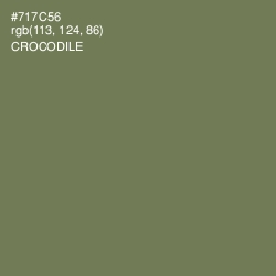 #717C56 - Crocodile Color Image