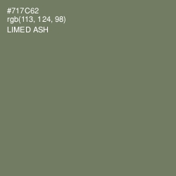 #717C62 - Limed Ash Color Image