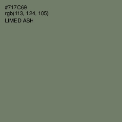 #717C69 - Limed Ash Color Image