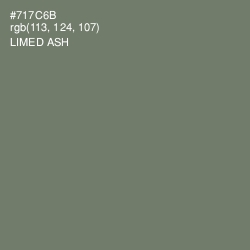 #717C6B - Limed Ash Color Image