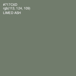 #717C6D - Limed Ash Color Image