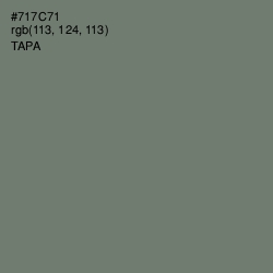 #717C71 - Tapa Color Image