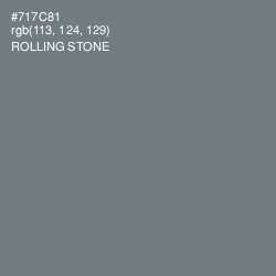 #717C81 - Rolling Stone Color Image