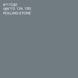 #717C82 - Rolling Stone Color Image