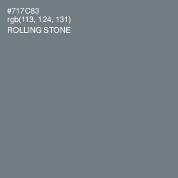 #717C83 - Rolling Stone Color Image