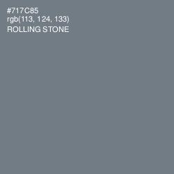 #717C85 - Rolling Stone Color Image