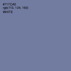 #717CA0 - Deluge Color Image