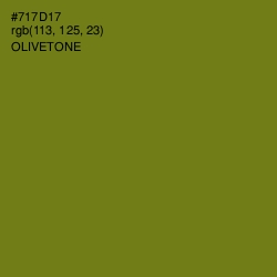 #717D17 - Olivetone Color Image