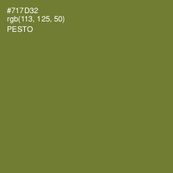 #717D32 - Pesto Color Image