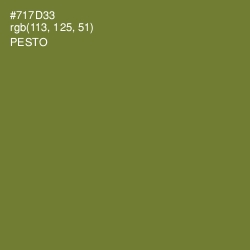 #717D33 - Pesto Color Image