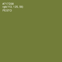 #717D38 - Pesto Color Image