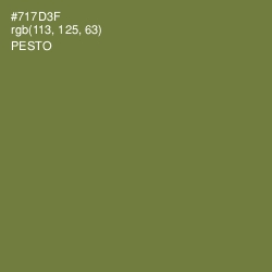 #717D3F - Pesto Color Image