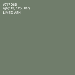 #717D6B - Limed Ash Color Image