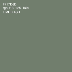 #717D6D - Limed Ash Color Image