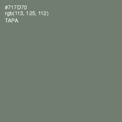 #717D70 - Tapa Color Image