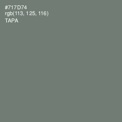 #717D74 - Tapa Color Image