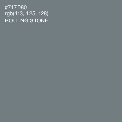 #717D80 - Rolling Stone Color Image