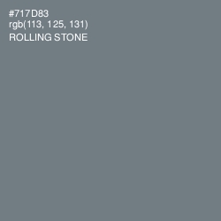 #717D83 - Rolling Stone Color Image