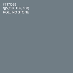 #717D85 - Rolling Stone Color Image