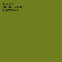 #717E1F - Olivetone Color Image