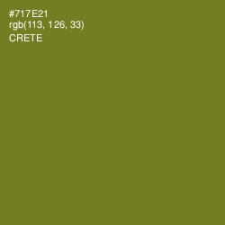 #717E21 - Crete Color Image