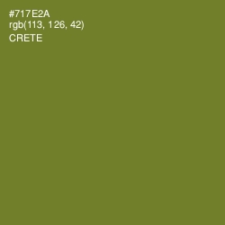 #717E2A - Crete Color Image