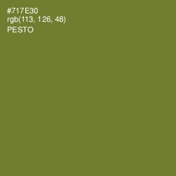 #717E30 - Pesto Color Image