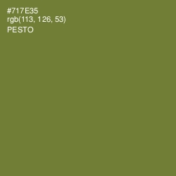 #717E35 - Pesto Color Image