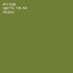 #717E36 - Pesto Color Image