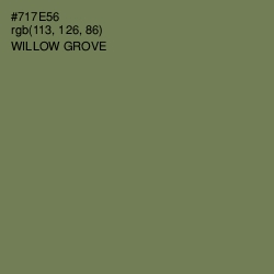 #717E56 - Willow Grove Color Image