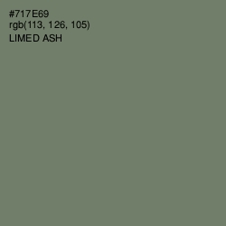 #717E69 - Limed Ash Color Image