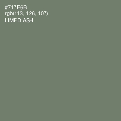 #717E6B - Limed Ash Color Image