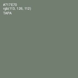 #717E70 - Tapa Color Image