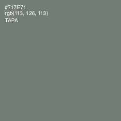 #717E71 - Tapa Color Image