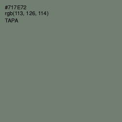 #717E72 - Tapa Color Image