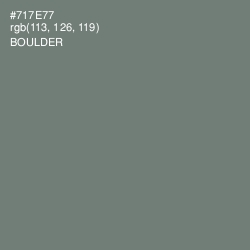 #717E77 - Boulder Color Image