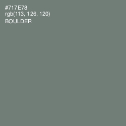 #717E78 - Boulder Color Image