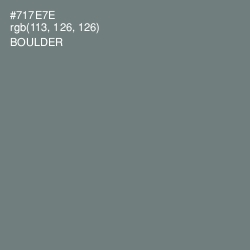 #717E7E - Boulder Color Image