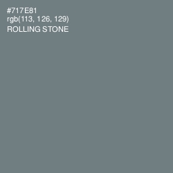 #717E81 - Rolling Stone Color Image