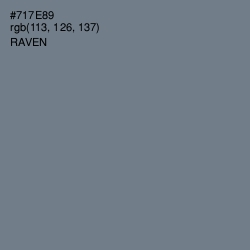 #717E89 - Raven Color Image